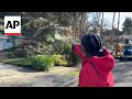 Giant tree crushes California home as powerful storm hits