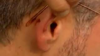 Reusable Ear Plugs