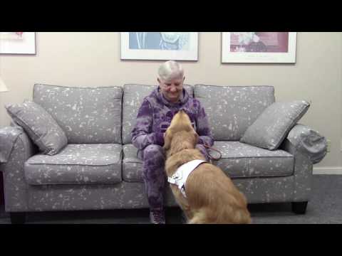 Kristen Spring, a client of Canadian Guide Dogs for the Blind, speaks about her experience in training with and using guide dogs from Canadian Guide Dogs for the Blind. Kristen Spring, a client of Canadian Guide Dogs for the Blind, speaks about her experience in training with and using guide dogs from Canadian Guide Dogs for the Blind.