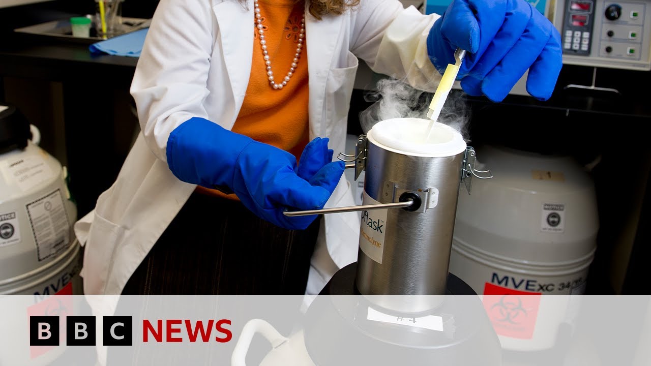 Egg freezing patients ‘misled’ by clinics | BBC News