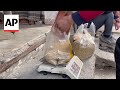 Palestinians in Gaza resort to using animal fodder to make bread