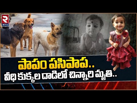 18-month-old girl attacked and killed by stray dogs in Andhra Pradesh