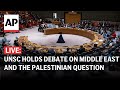 LIVE: UN Security Council holds debate on Middle East, Palestinian question