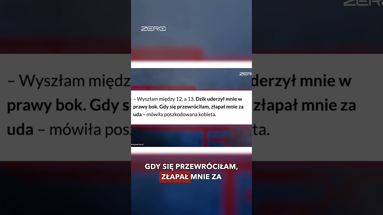 RZĄD NIE RADZI SOBIE Z DZIKAMI?!