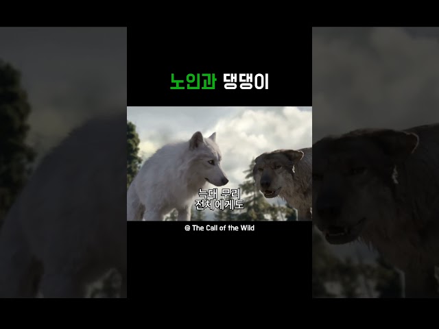 노인과 댕댕이