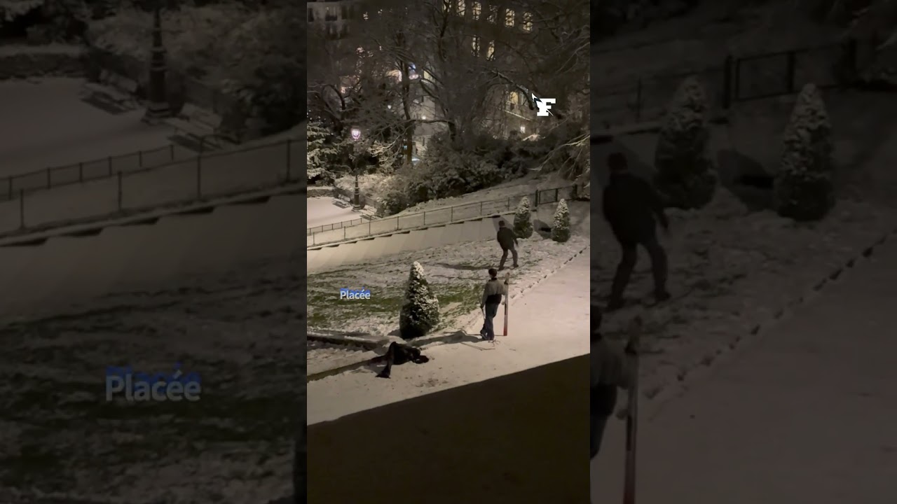 Snowboard, ski, luge: les Parisiens profitent de la neige à Montmartre