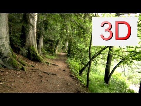 3D Video: WALKING River & Forest #1