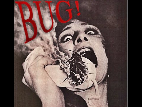 Bug'