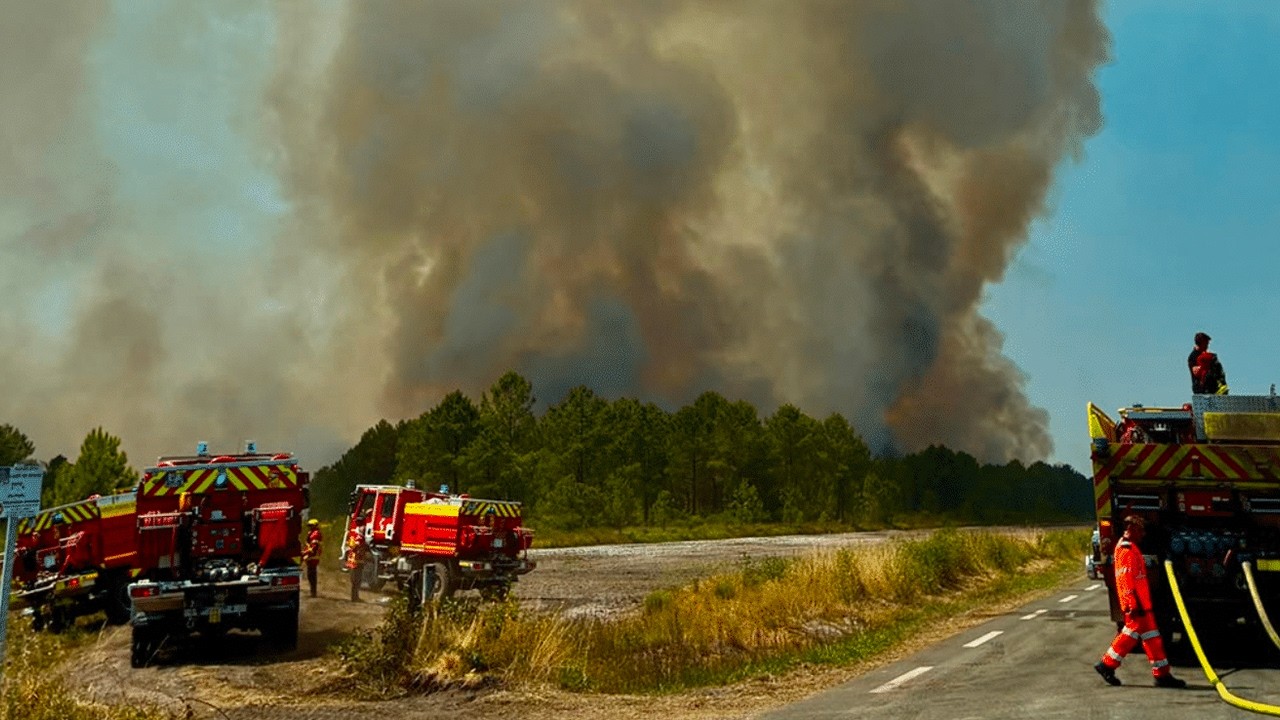 Dérèglement climatique: "Le risque de feu est quasiment inévitable !" (Philippe Grandcolas)