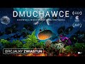 kadr z filmu Dmuchawce nr: 2615