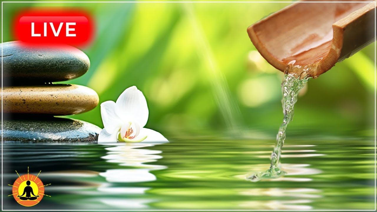 🔴 Relaxing Zen Music 24/7 🌿2495: Sounds of Nature, Healing Meditation Music, Spa Music, Sleep, Zen
