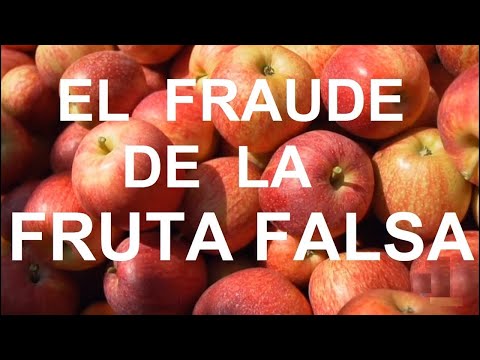 El FRAUDE de la FRUTA FALSA 🍎🍈🍌🍍 | Documental