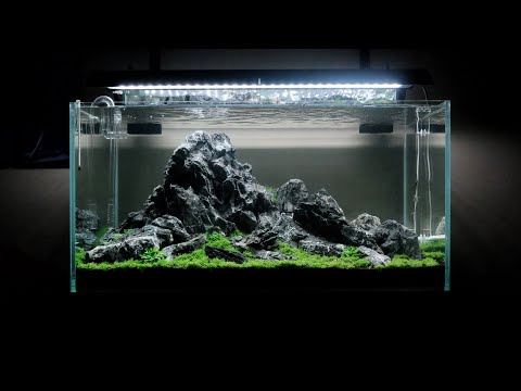 4K AQUASCAPE NATURE AQUARIUMS  (Mini Mountain)