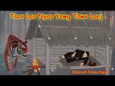 Tsov Los Nyas Yawg Tswv Looj Txaus Ntshai /23/10/2025/