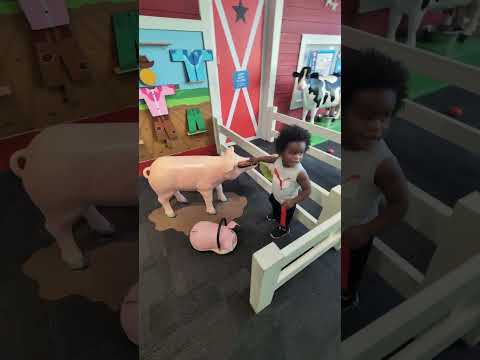 Fun Children's Museum in Tampa, FL 🧸 @glazerchildrensmuseum #toddlers #shorts #parenting #momlife