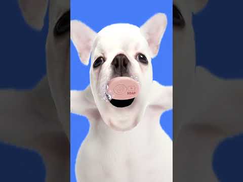 Send this to a friend with no context 😂 #funny #butifyoucloseyoureyes