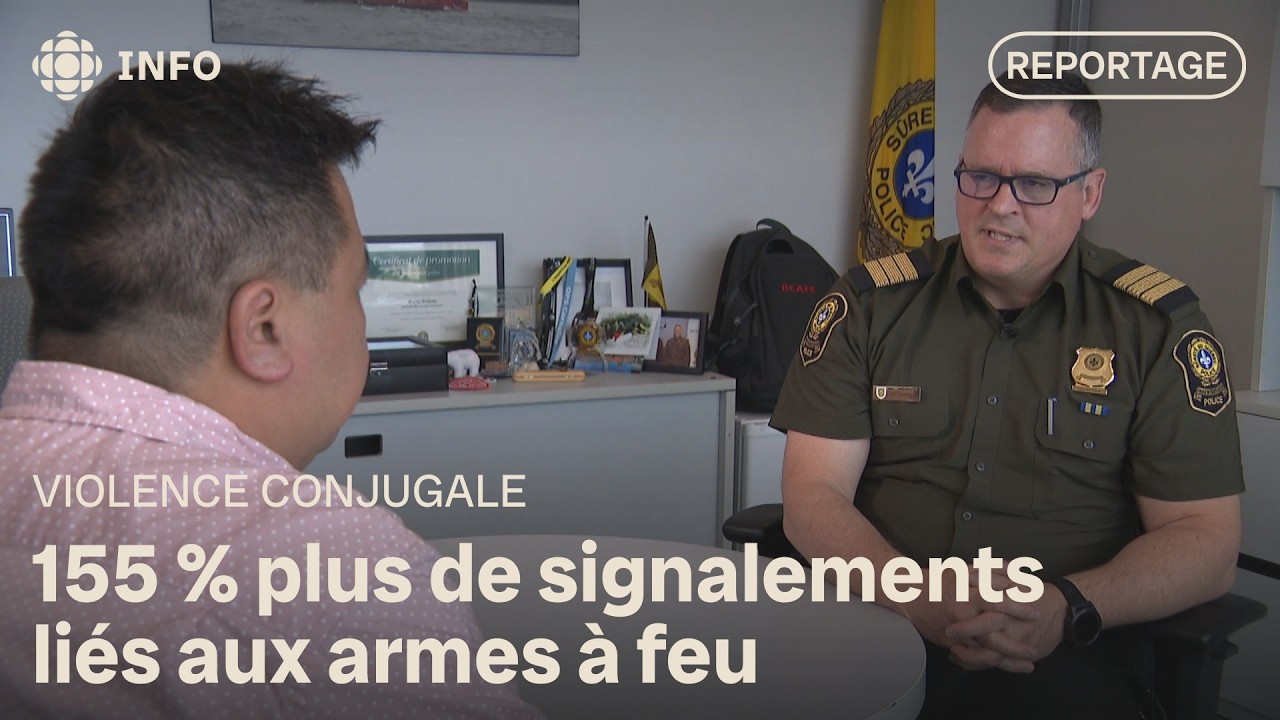 Violence conjugale : la SQ lance des appels préventifs en lien avec les armes à feu