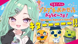 【プチプチおみせっち おまちど～さま! 】きたああああああああああaaaああ【ぶいすぽ/八雲べに】