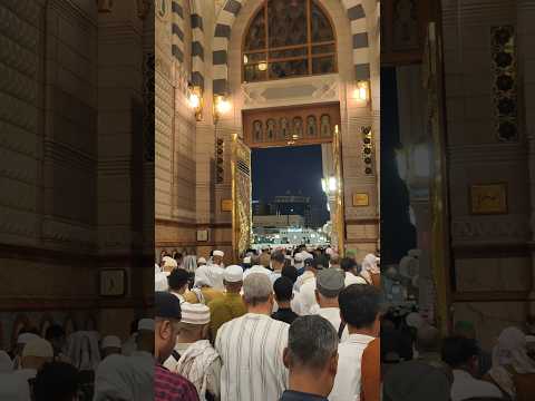 Masjid Nabwi After Fazar Namaz ❤️ Madina Saudi Arabia #shorts #umrah #islamicvideo