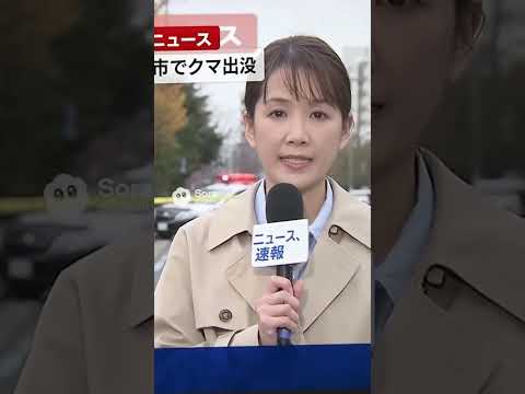 臨時ニュース 横浜市でクマ出没