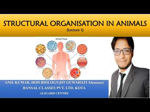 Structural Organisation In Animals Part 9 | CLASS 13 | PCB | NEET | Biology  | by AK Sir « Bansal Aligarh