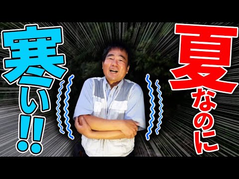 40℃オーバーの夏！しかし寒い！地上とは別世界でクワガタ採取が最高に面白い！
