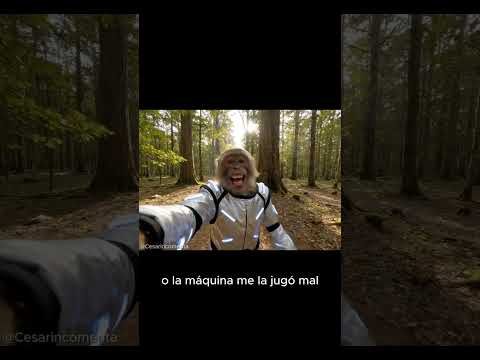 Creo que no estoy en el FUTURO 🤔🤔 #ia #mono #veo3 #funny #feedshorts #shorts