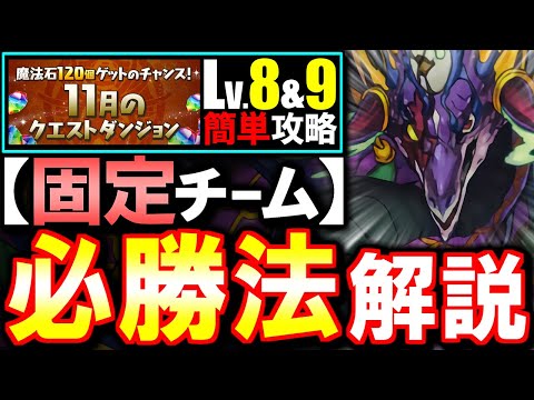 【固定チーム】この立ち回りが安定!!11月のクエスト チャレンジLv8 Lv9攻略法を徹底解説!!魔法石を17個GETしよう!!【パズドラ】