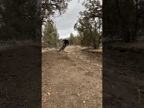 Carving the Brown Pow! Too fun! #emtb #loamwolf