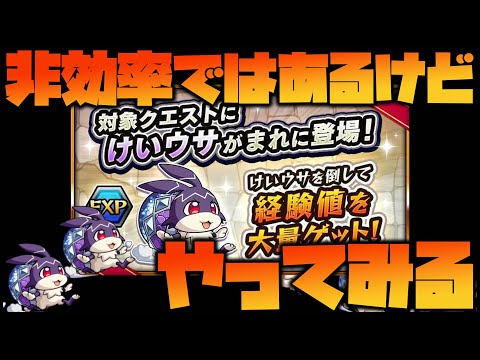 【モンスト】もう効率悪い？『けいウサ』でランク上げしてみる【ぎこちゃん】