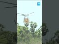 CM Jagan Helicopter Landing #ysjagan #cmjaganelectioncampaign #apelections2024 #sakshitv - 00:59 min - News - Video