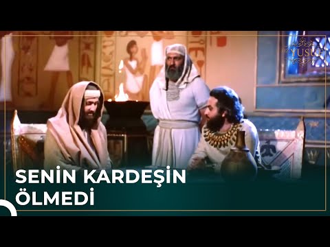 Yusuf Peygamber Kardeşine Kavuştu 🤲🏻 | Hz. Yusuf