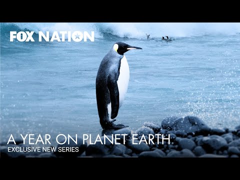 A Year on Planet Earth'