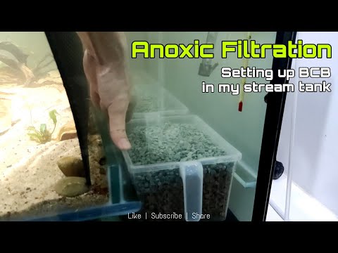 A brief introduction to Anoxic Filtration System I'm still new to anoxic filtration system. It was introduced to me by Sunny from [ @guppiesstories59
