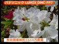 ?????? LUMIX DMC-FP7(??????????_Panasonic)