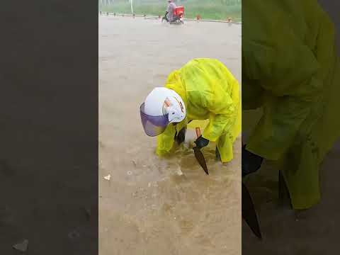 Storm Aftermath Huge Whirlpool During Drain Unclogging #stormwaterdrain #stormdrain #satisfying