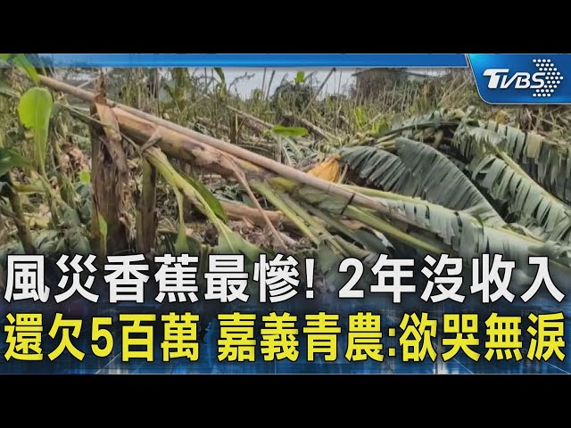 風災香蕉最慘! 2年沒收入還欠5百萬 嘉義青農:欲哭無淚｜TVBS新聞 @TVBSNEWS02