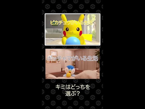 【公式】ピカチュウがいる生活・ポッチャマがいる生活