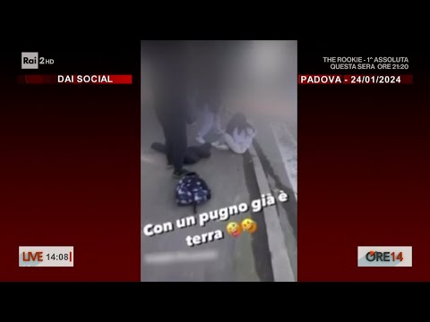 Padova, pestata a 13 anni dalle ex compagne. Denunciate due 14enni - Ore 14 del 26/01/2024