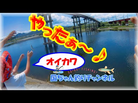【夏休み・オイカワ釣り】ヤバい！大和川で7年ぶりに一緒に釣りをするも兄弟が増えていて年月を痛感した・・・お子さん2人とも釣れて良かった(^^)　マルキュー九ちゃん練りエサ・大阪釣り
