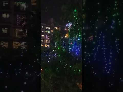 😱🏮WOW Lighting❤️😍#shorts#ytshorts#youtubeshorts#viral#reels#shortsfeed#fire#freerishta#diwali#fun