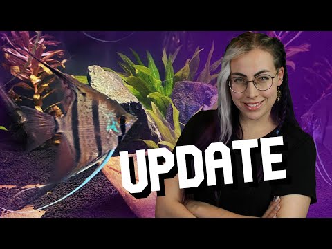 Channel Announcement! With so many changes I'm excited to be doing these weekly updates! I hope this helps you enjoy our f