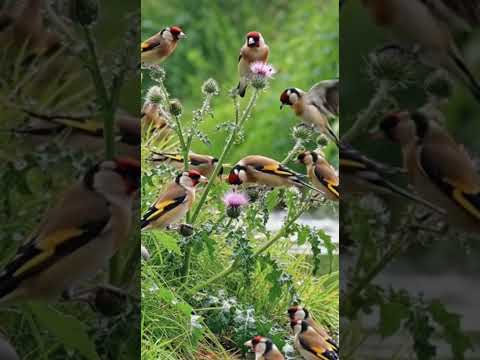 المتعة في القيام بهذا العمل ✅📷