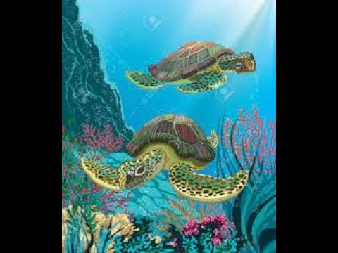 THE SACRED TURTLES OF KADAVU | CHAPTER 10 | PLUS ONE | ENGLISH | SUERE THE LEARNING APP