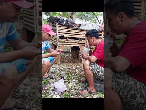 Enjoy the cool village atmosphere 🌿 #shorts #trending #viral #fyp #reels