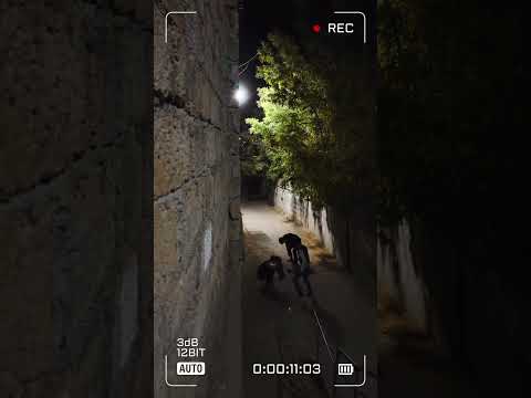 #action #respect #mma #lifeisbutadream #ekmotahathighumechala