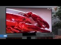 Sony 65ZD9 en 75ZD9 Review - PlatteTV.nl