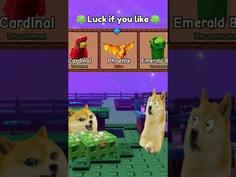 Enchanted Chest Grow A Garden 🍀🍀🍀 #roblox #growagarden #doge