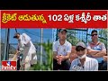 క్రికెట్ ఆడుతున్న 102 ఏళ్ల కశ్మీరీ తాత | 102 Years Old Man Playing Cricket  | hmtv