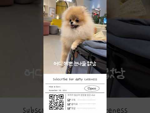 거기 예쁜 누나 같이 놀아요